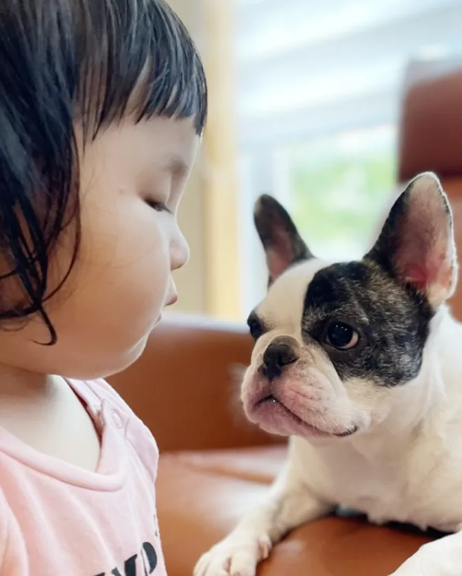 小さいお子様やペットがいるご家庭